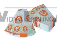 The model of dicotyledonous stem